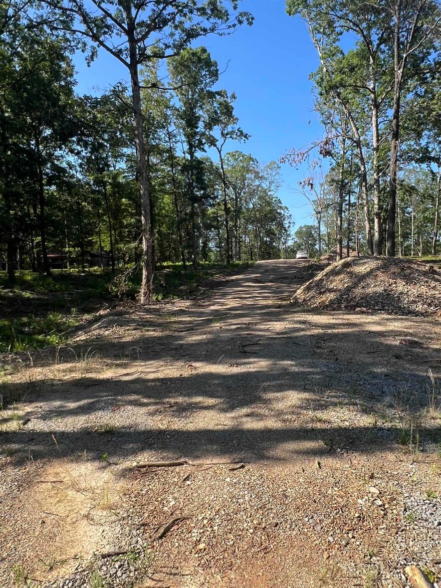 Secluded 5 acres with a pond and cleared building site ready for your dream home! Property had been partially cleared and remaining  area has been thinned. Water meter on property and Electric at road. Drive way has been cut in already! Less than 10 minuets from town Bryant!