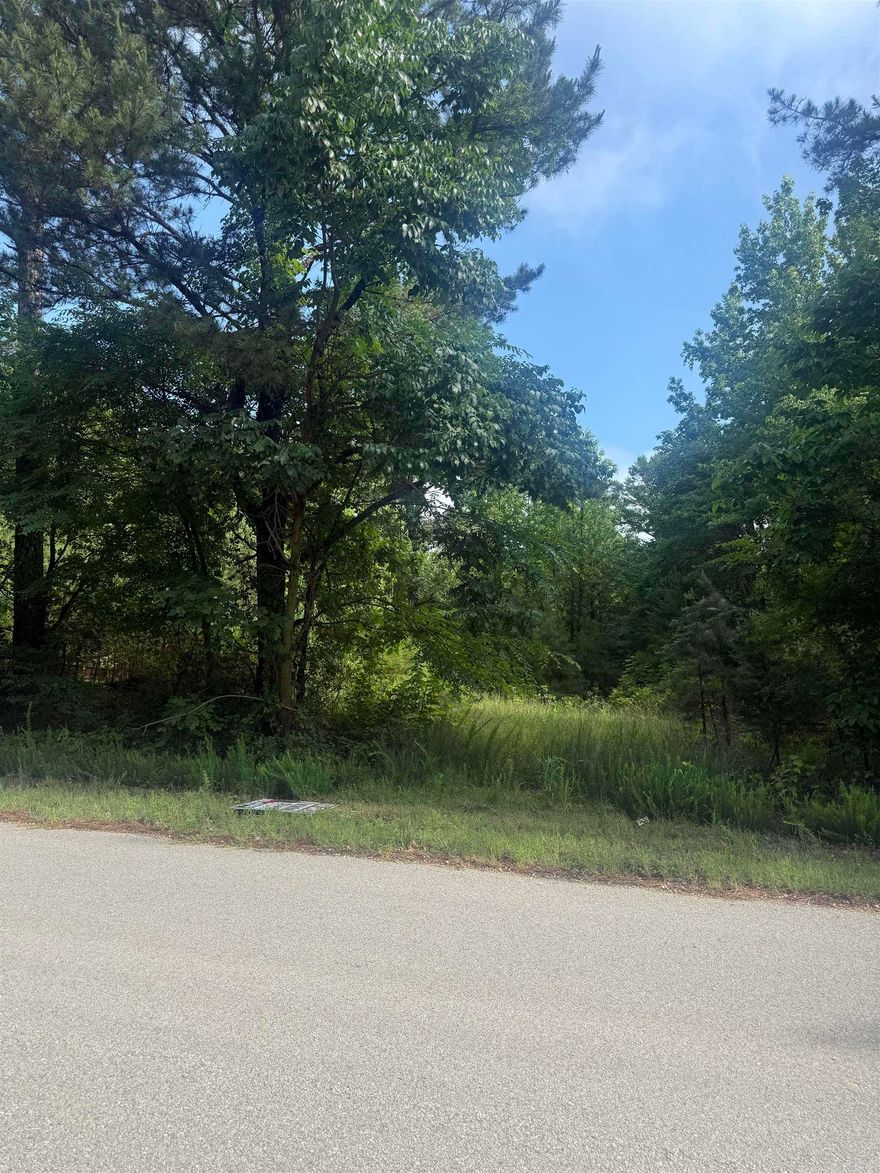0.91 +/- acre tract located on a paved road, offering an excellent opportunity to build your dream home. Property features road frontage and a great spot for a home in a peaceful country setting. Well located on the property, along with a Western Greene County Water hookup already in place (buyer to verify condition, provider, availability, and connection details). Convenient location with plenty of possibilities for residential use.