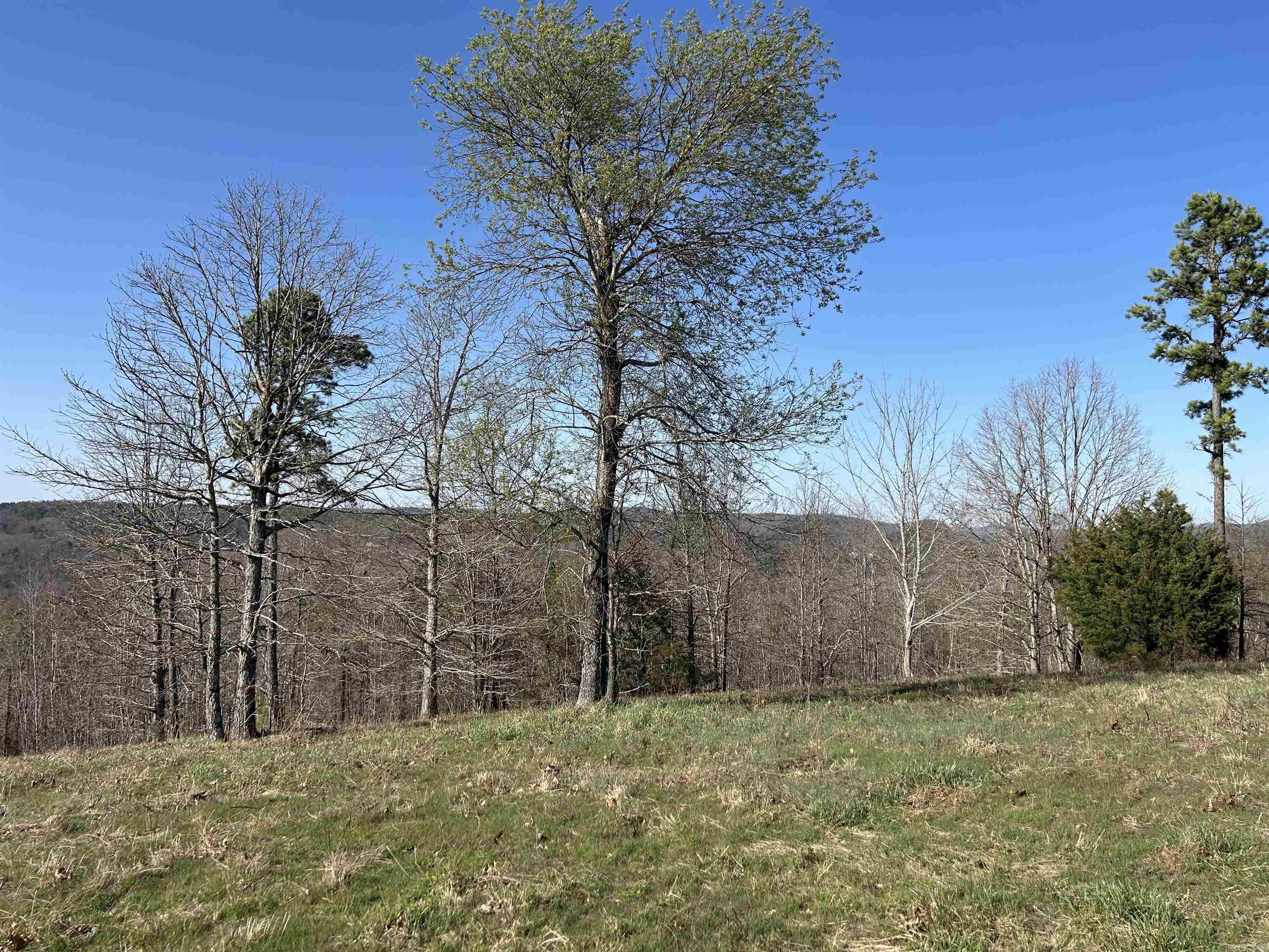 Enjoy the mountain views and peaceful setting when you make this 3.32 acres your own. Conveniently located between the Stone County Courthouse Square and the White River this property is also just a short distance to the Ozark National Forest. Waiting for you to build your dream home, water, electric, phone and internet are available at the street. 1000 sq ft minimum, no manufactured homes. If you want to expand your dream there are adjacent tracts available for purchase.