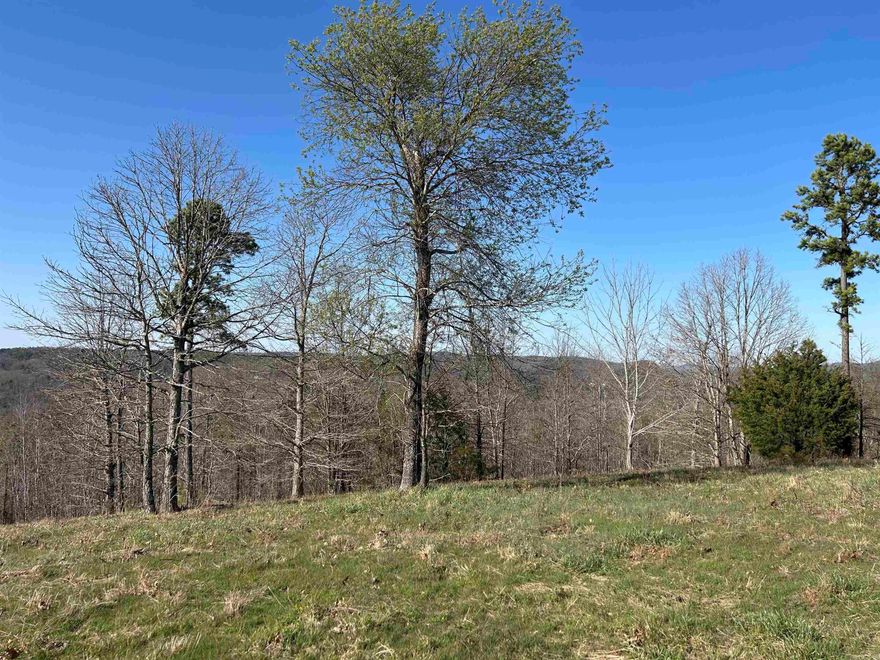 Enjoy the mountain views and peaceful setting when you make this 3.32 acres your own. Conveniently located between the Stone County Courthouse Square and the White River this property is also just a short distance to the Ozark National Forest.  Waiting for you to build your dream home, water, electric, phone and internet are available at the street. 1000 sq ft minimum, no manufactured homes. If you want to expand your dream there are adjacent tracts available for purchase.