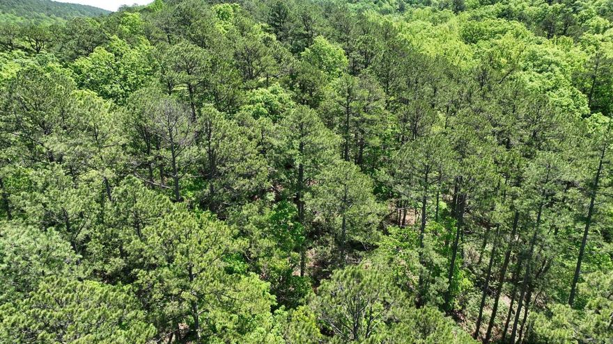 Nestled in the heart of the renowned Wolfpen ATV trails, this wooded 10.12-acre parcel offers the perfect blend of adventure and tranquility. Whether you're looking to build your dream getaway or simply park your RV, this property provides a versatile and scenic retreat. Private, and with no restrictions, the possibilities are endless—from a rustic cabin to a private camping escape. The terrain is mountain-like, rich with natural beauty and teeming with wildlife, offering a true back-to-nature experience. Additional adjoining lots are also available if you're looking to expand your slice of paradise. Easement through property. Taxes will need to be assessed after purchase due to subdivision of existing parcel.