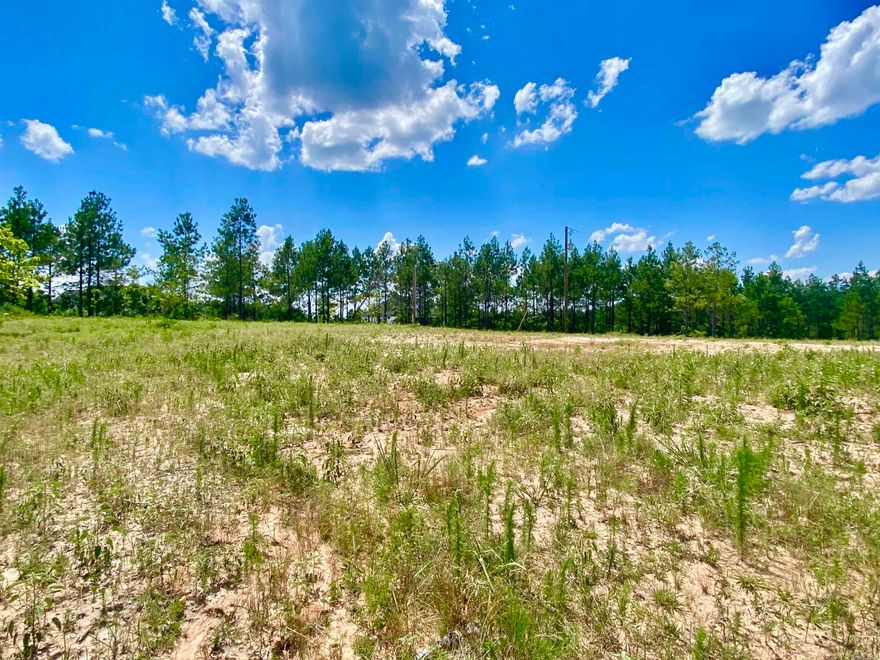 The work has been done!  Lot cleared, driveway, culvert & utilities in place!  Get your plans ready and build.  Nice lot with the perfect hill to build your forever home.