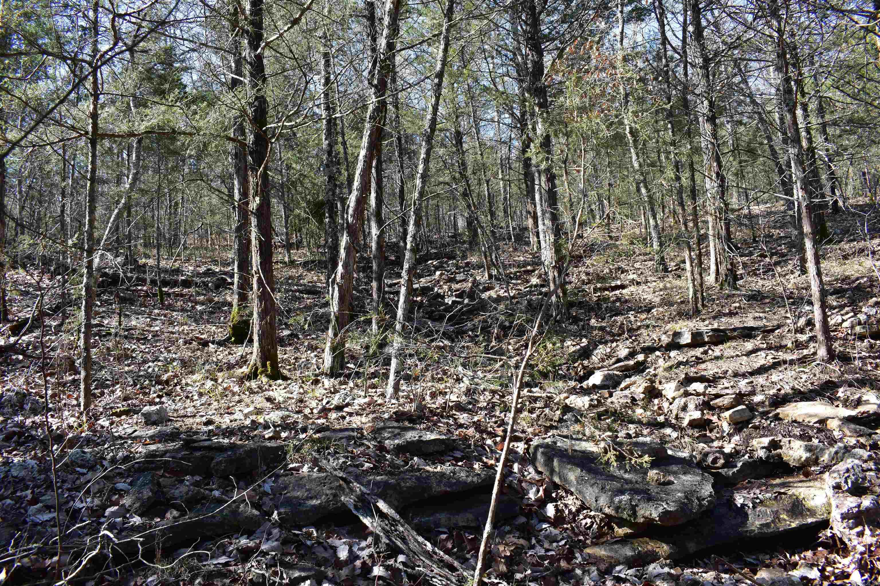 Metes & Bounds - Land