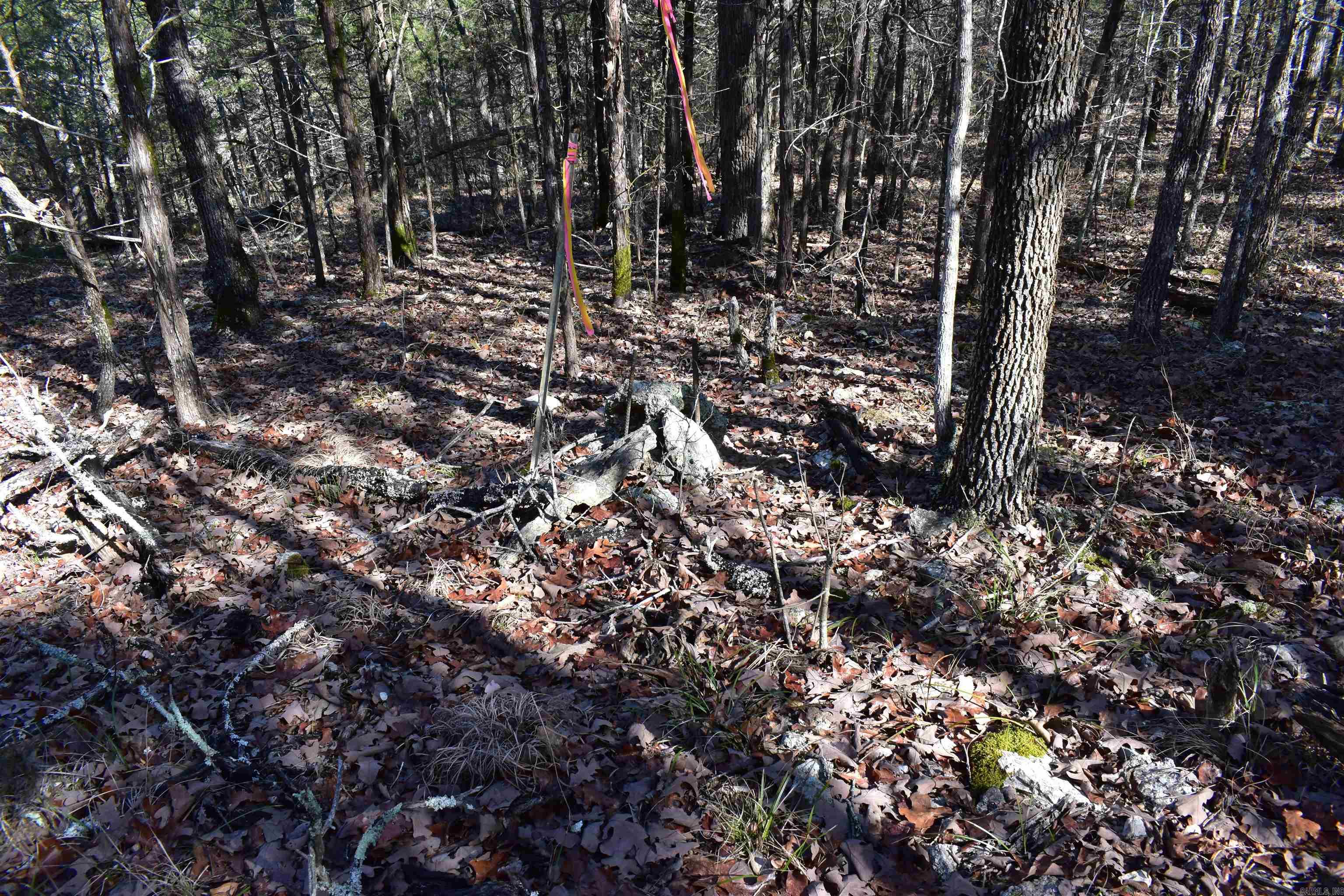 Metes & Bounds - Land