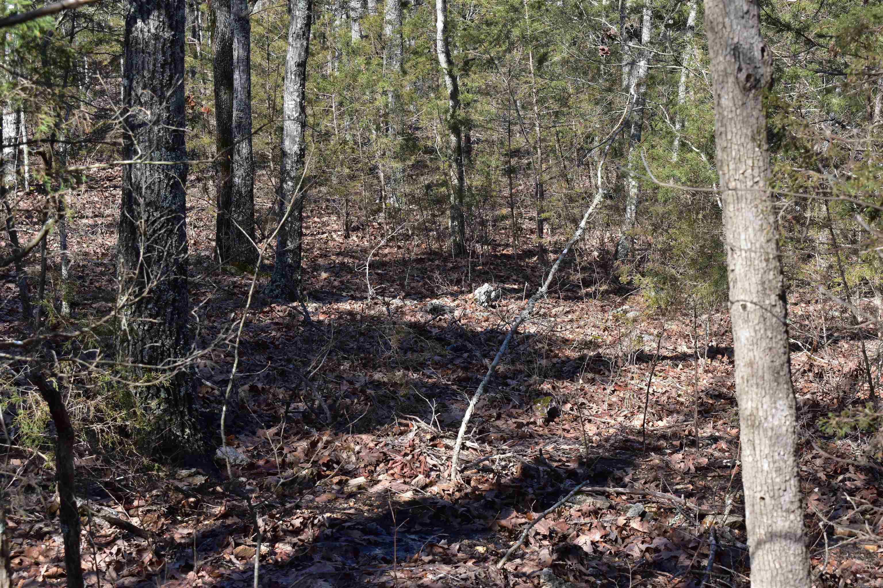 Metes & Bounds - Land