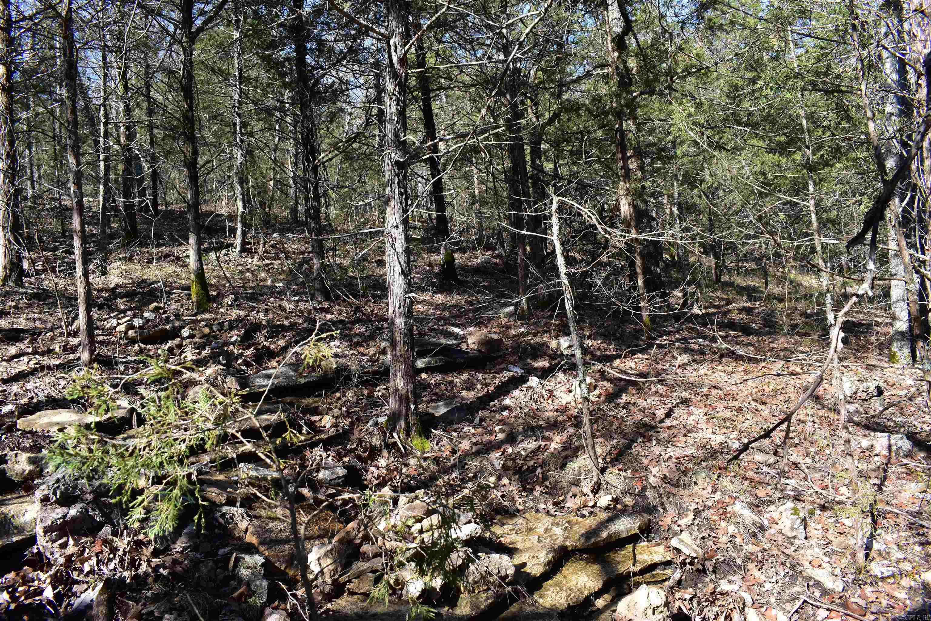 Metes & Bounds - Land