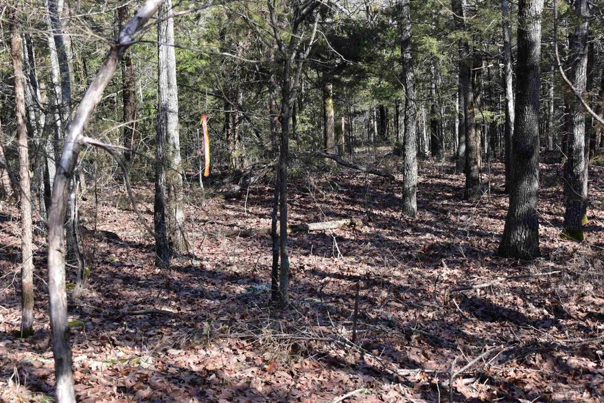 UPDATE!!!! SELLER WILL FINANCE WITH APPROVED CREDIT. Terms and conditions apply. The Pigeon Creek tract is the perfect size and price! A gentle slope away from the new chip seal county road provides easy access and the timbered tract will provide privacy for a cabin or two. Electricity is available for connection along Blue Wing Road and a well and septic are required to complete the site. This tract has already been perc tested for two different absorption fields. A gravel boat launch is available just a half mile away on the west bank of Pigeon Creek Cove or a modern concrete launch site is available just a few minutes away just east of Highway 201. Beautiful Norfork Lake provides outstanding fishing and an excellent location for most all water sports. Nearby Mountain Home is home to most needed amenities such as shopping, churches, and eating venues. The Corps of Engineers allows boat house facilities in certain locations of the lake, Pigeon Creek Cove is one of those areas with several boat storage units already in place. A new storage unit would require a successful permit application or the possibility of purchasing an existing unit could be available.