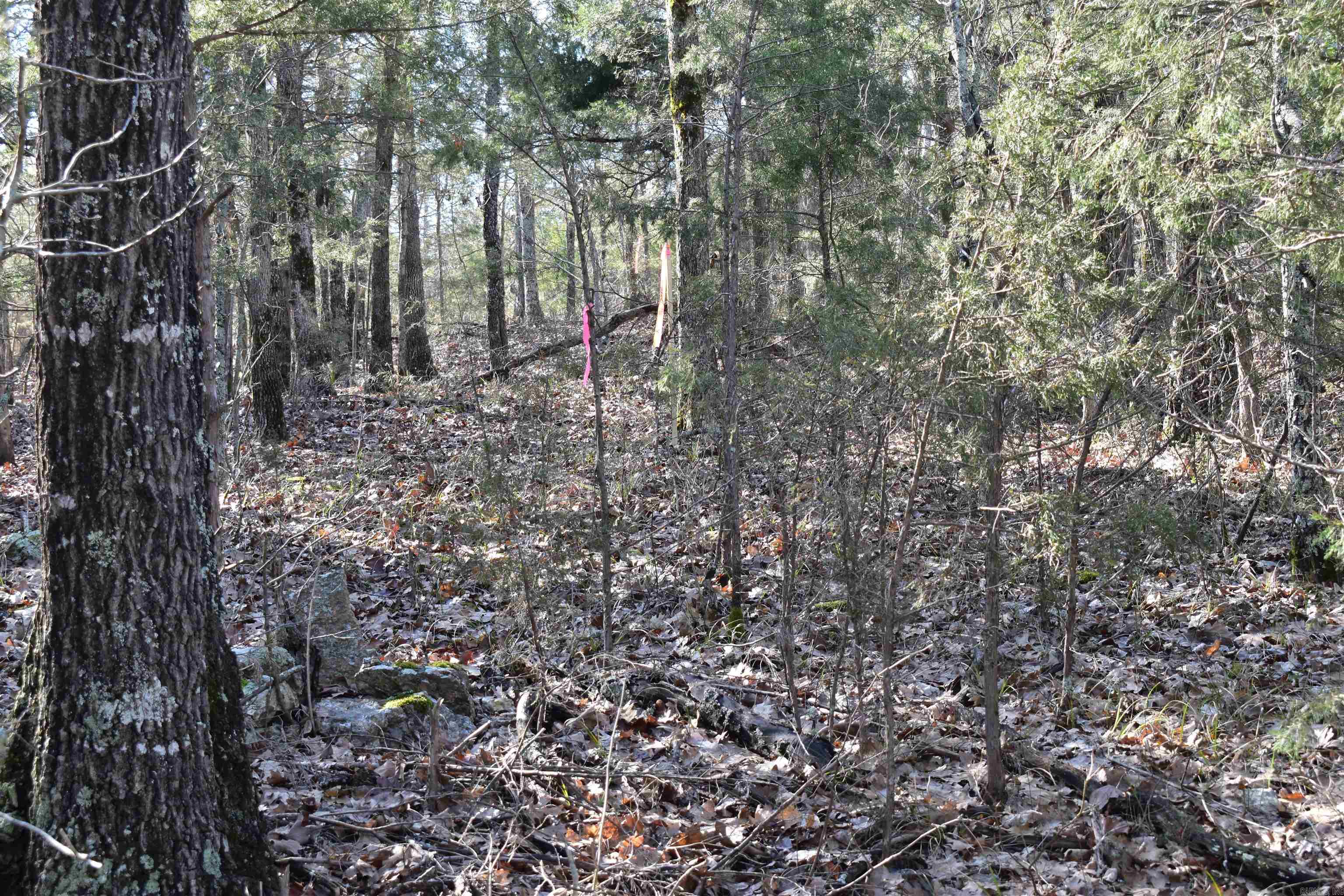 Metes & Bounds - Land