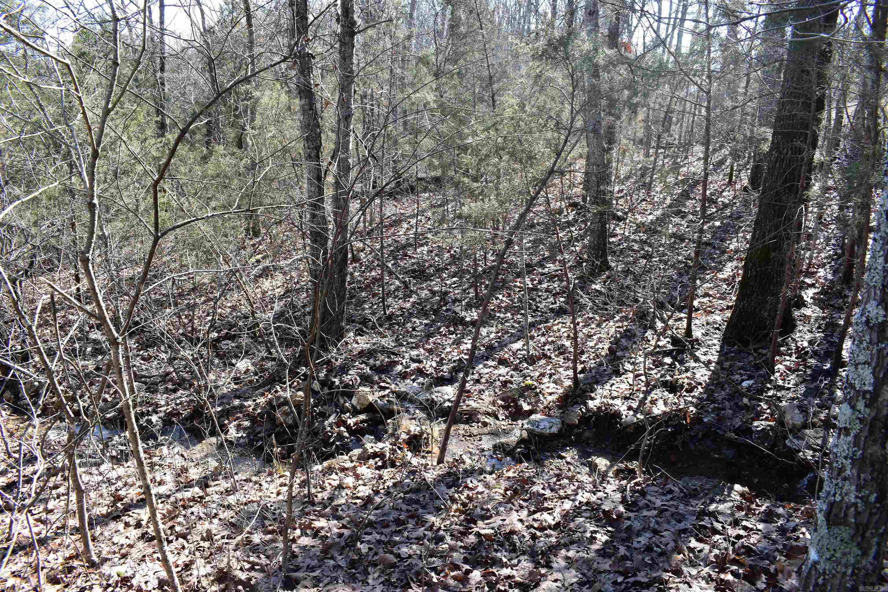 Metes & Bounds - Land