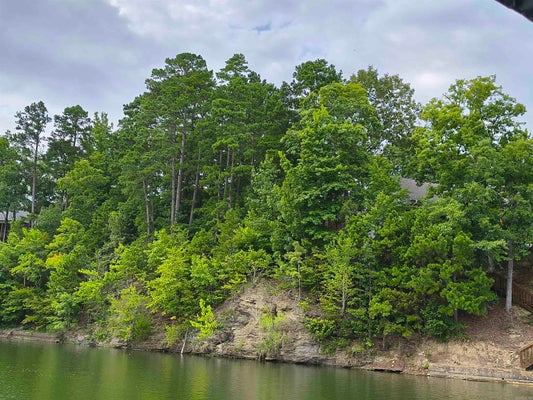 6 SACEDON CIR, HOT SPRINGS VILLAGE, AR 71909 - Image ff64fc7b03b30512b215713ee4f8dfc8/3792275847
