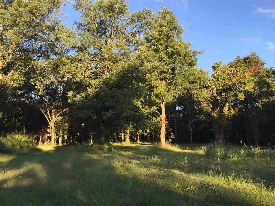 WOODED 32 ACRES AT THE BACK OF TERRA HILLS