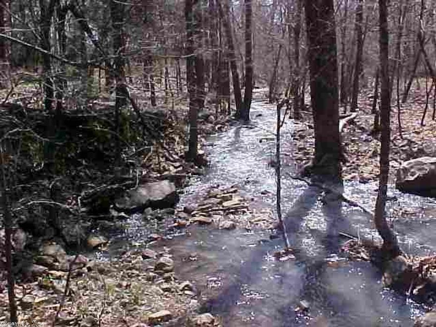 Beautiful farm or ranch land that joins National Forest service very close to the Ouachita River on the south side. Also has 2 wet weather creeks and beautiful mountains views.