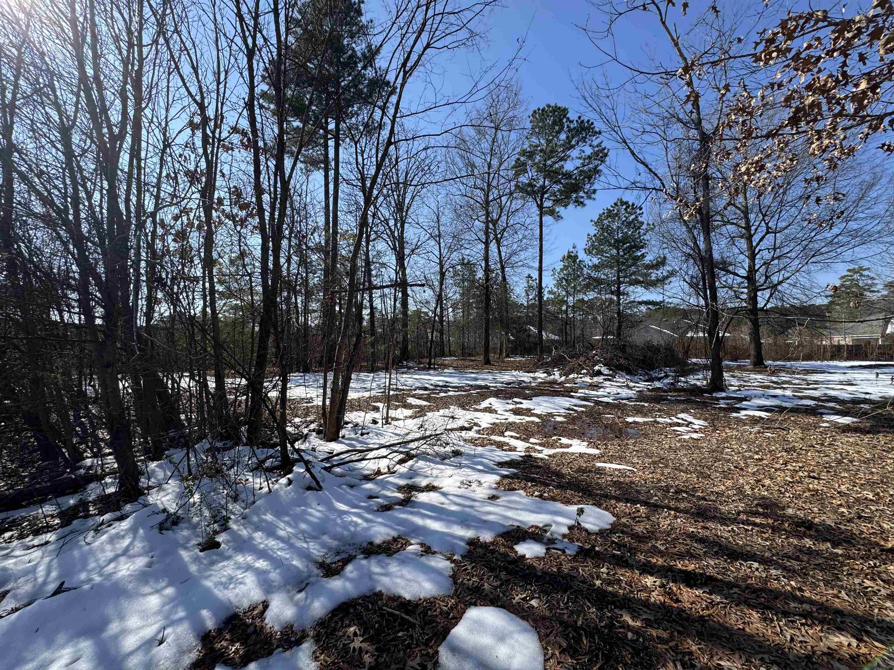 Metes & Bounds - Commercial Sale