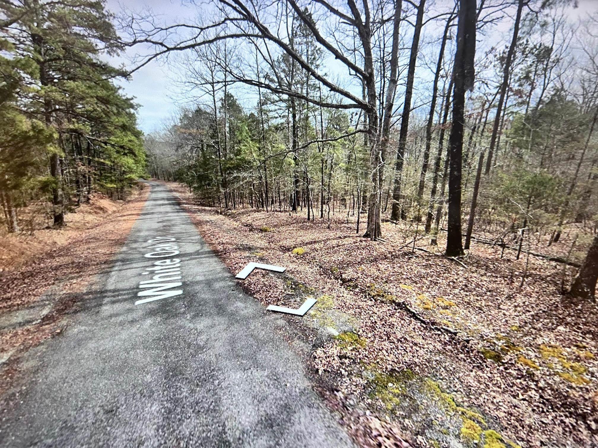 Looking for the perfect spot to build your dream home? Lakeview Subdivision in Fairfield Bay offers just that—beautiful lots surrounded by nature, peaceful vibes, and all the amenities you could ask for. Whether you’re planning a weekend getaway home or a forever place to settle down, this community has it all: access to the lake, walking/hiking trails, and a welcoming neighborhood feel. Don’t miss out on owning a piece of this hidden gem!