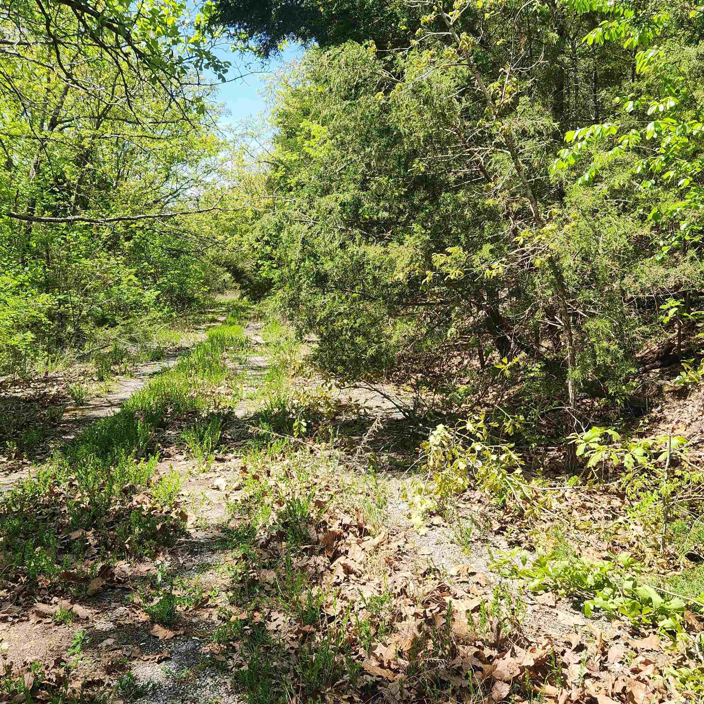 1 Nice wooded lot in a secluded area of Cherokee Village. Secluded but close to the South Golf course, Lake Omaha and the Omaha Center. Come take a look at this wonderful gently sloped lot with an uphill slope. Come pick your spot to build your retirement home, family home or just a get-away from it all home. Cherokee Village has it all. With 7 lakes, 2 Golf courses and the Beautiful Southfork River. What more could you need? The adjacent lot is also available, so that you could have nearly half an acre of property.