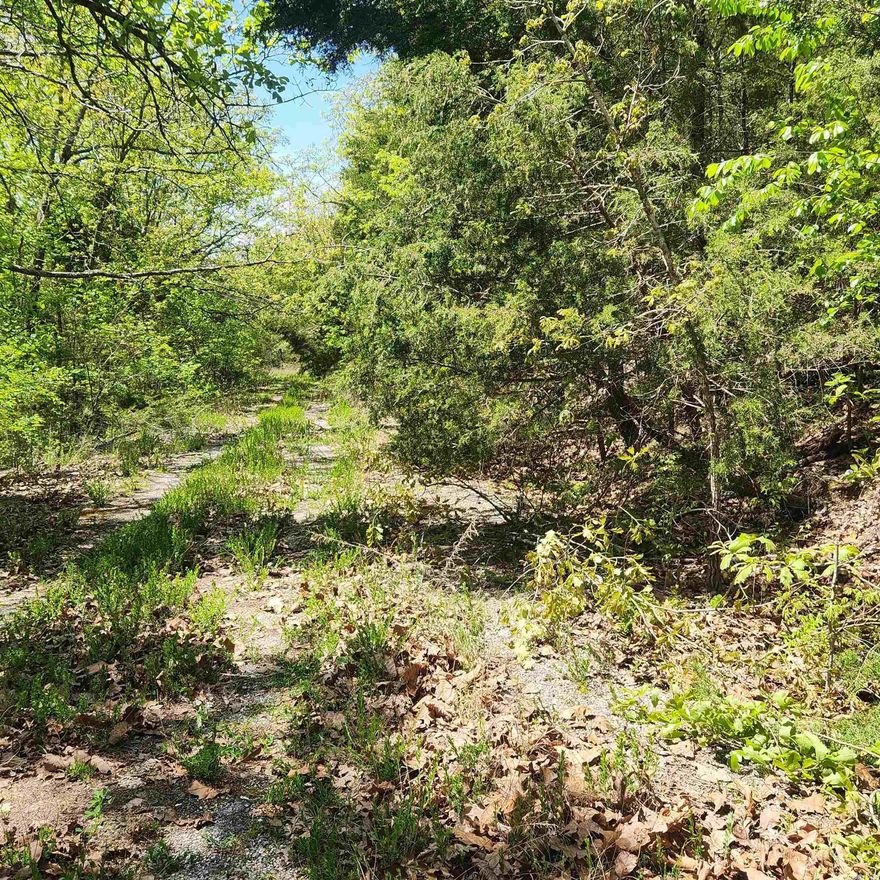 1 Nice wooded lot in a secluded area of Cherokee Village. Secluded but close to the South Golf course, Lake Omaha and the Omaha Center. Come take a look at this wonderful gently sloped lot with an uphill slope. Come pick your spot to build your retirement home, family home or just a get-away from it all home. Cherokee Village has it all. With 7 lakes, 2 Golf courses and the Beautiful Southfork River. What more could you need? The adjacent lot is also available, so that you could have nearly half an acre of property.