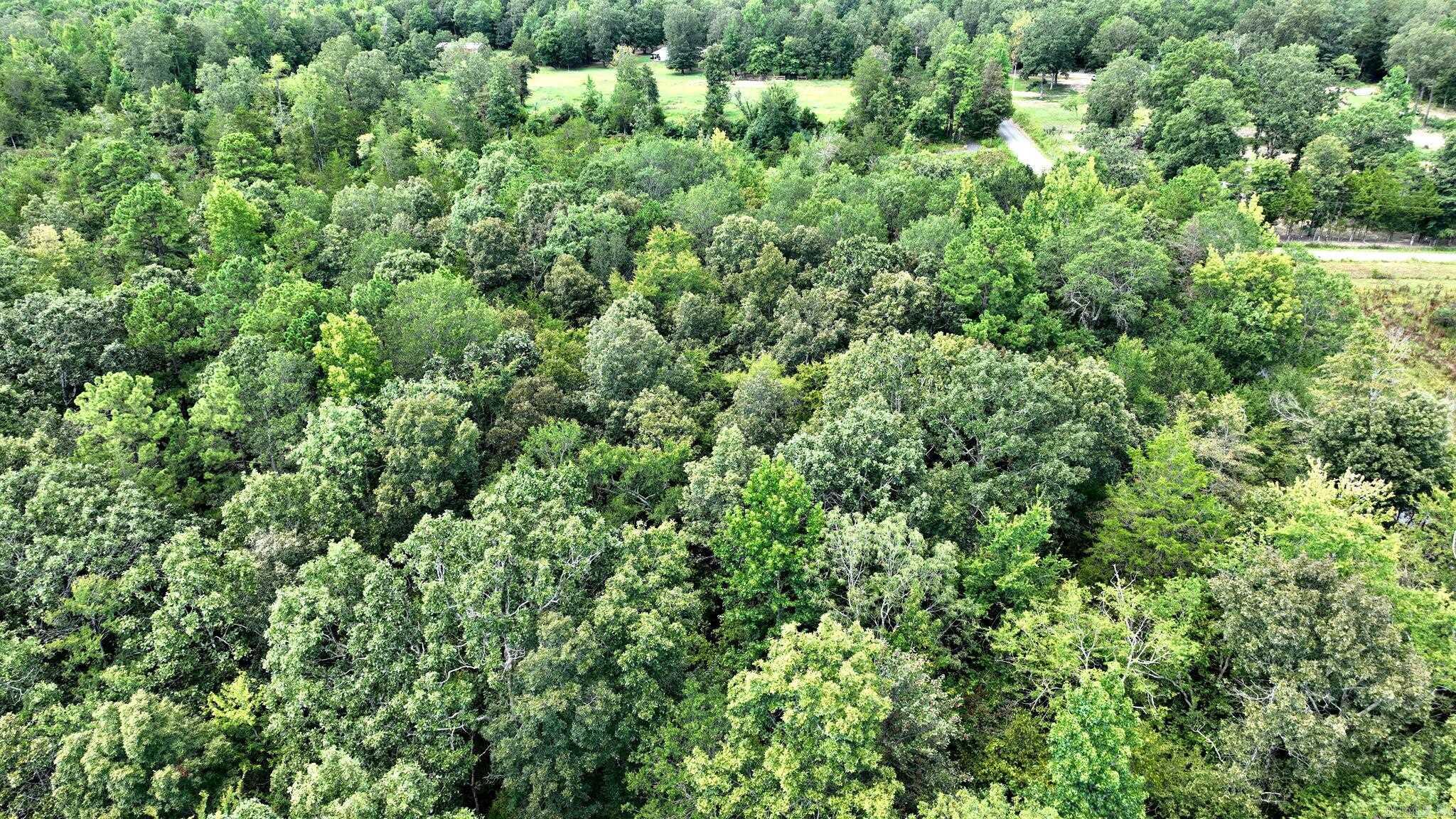 Acorn - Land