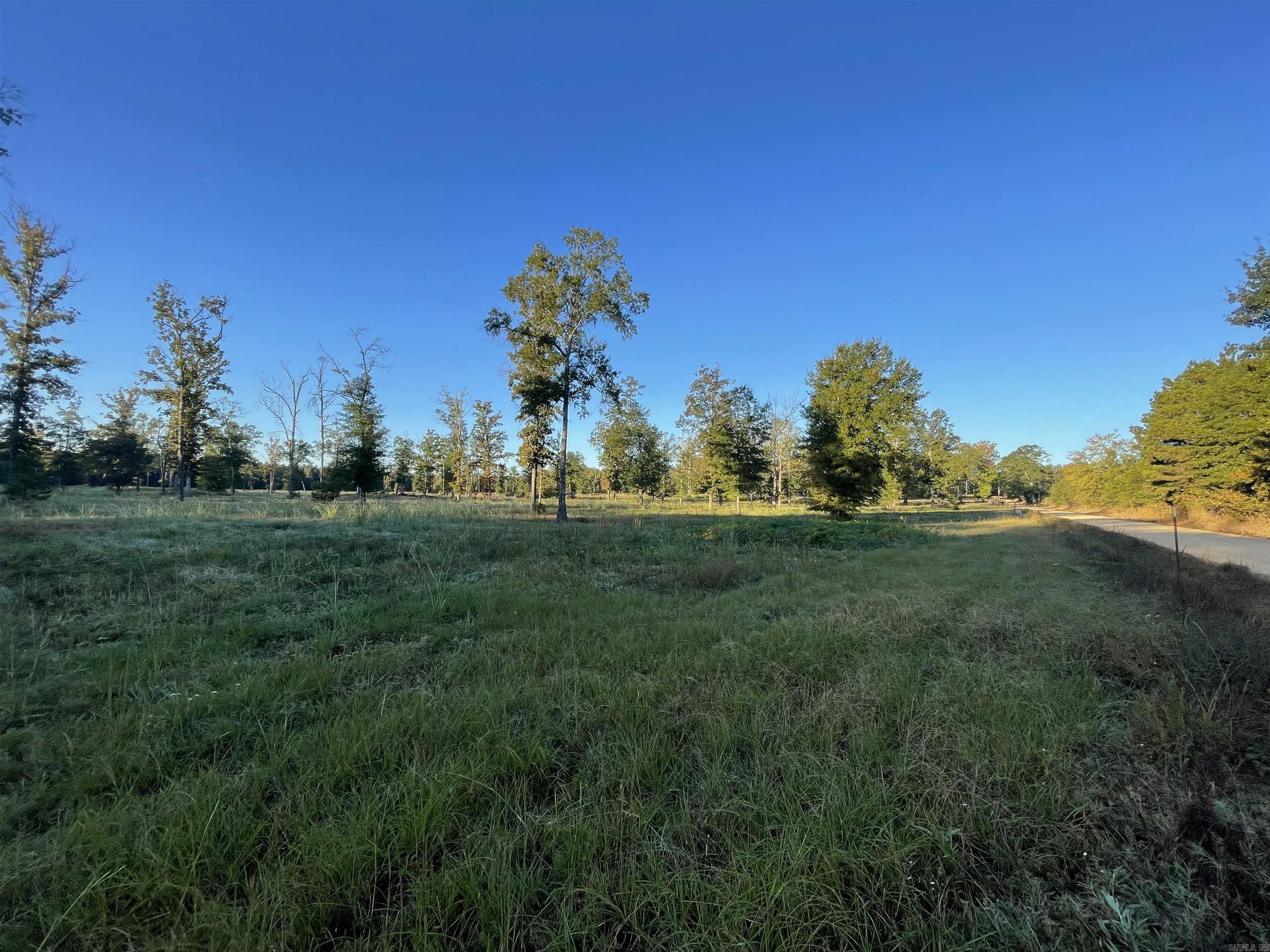 20 acres of pasture land with select cut hardwoods scattered throughout. All utilities needed are at the road including high speed fiber internet. Perfectly located outside of city limits with easy access to US 63. Seller is offering to put in a driveway and house pad with the right offer.