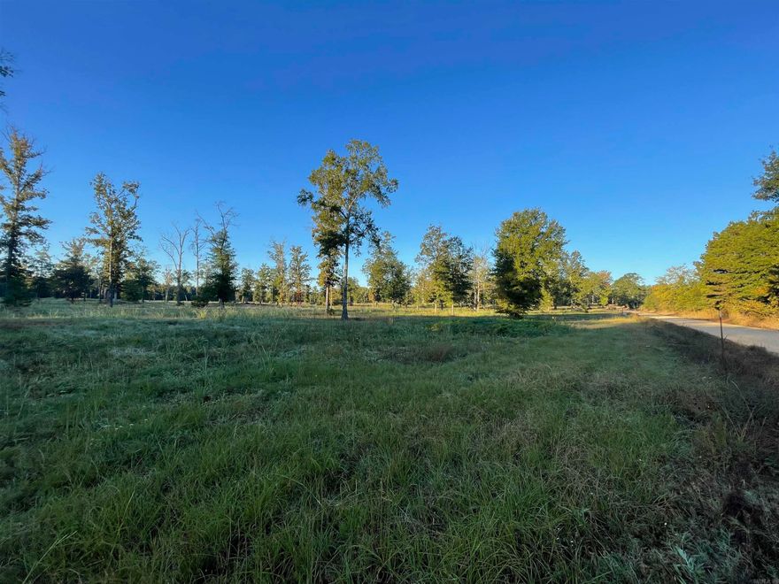 20 acres of pasture land with select cut hardwoods scattered throughout. All utilities needed are at the road including high speed fiber internet. Perfectly located outside of city limits with easy access to US 63. Seller is offering to put in a driveway and house pad with the right offer.