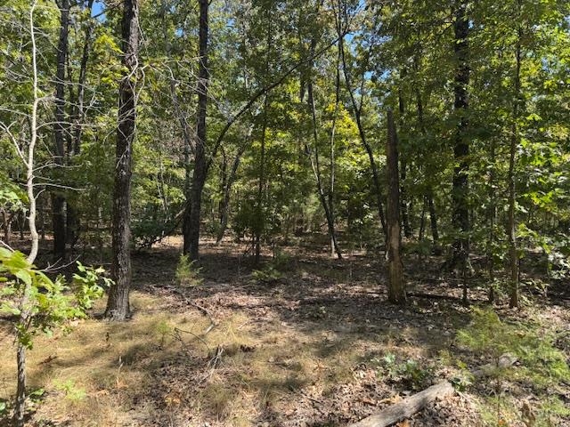 Escape to the serene beauty of the Ozarks with this exceptional 5-acre wooded tract located on Echowood Cr in Viola, Arkansas. Just a short 1.5-mile drive from Highway 62/412, this property offers the perfect blend of seclusion and convenience. The land is beautifully forested with a variety of mature oaks and cedar trees, creating a peaceful, private setting ideal for building your dream home or a rustic weekend cabin. Essential utilities are readily accessible, with rural water already available on the property and electricity located just across the county road, making your building plans that much easier to realize. This property is a gateway to the incredible outdoor lifestyle the Ozarks are famous for. Nature enthusiasts will delight in the abundance of wildlife, including frequent sightings of whitetail deer right in their own backyard. For those who love the water, you're perfectly positioned within a 30-45 minute drive to the pristine waters of Lake Norfork, the cool currents of the Spring River, and the world-renowned trout fishing of the White River. With incredibly low annual taxes of only $110.39 last year, this is an affordable opportunity to claim for your own.