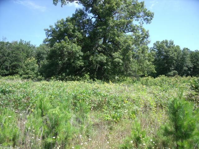 Farmers Woods - Land