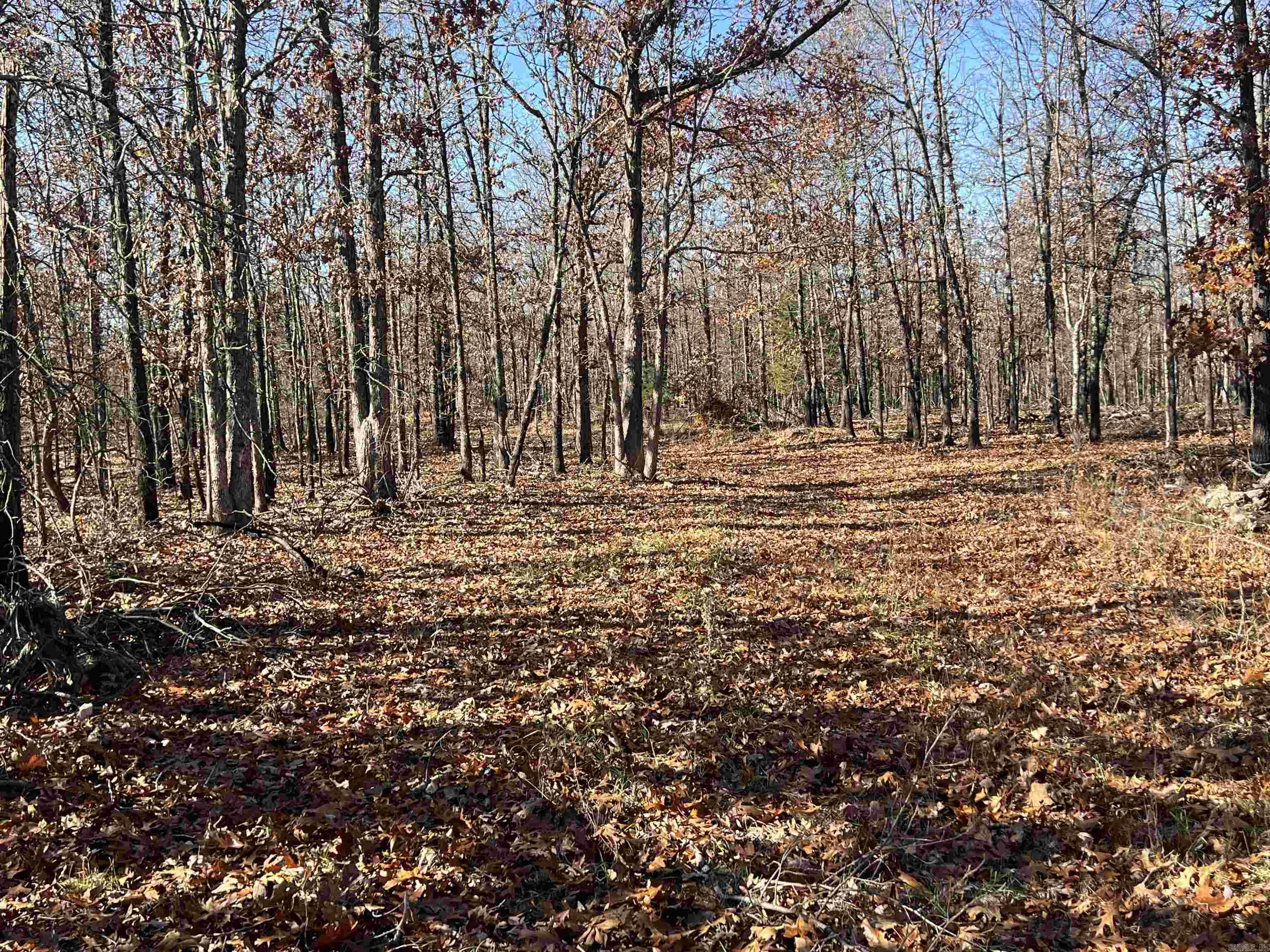 Metes & Bounds - Land