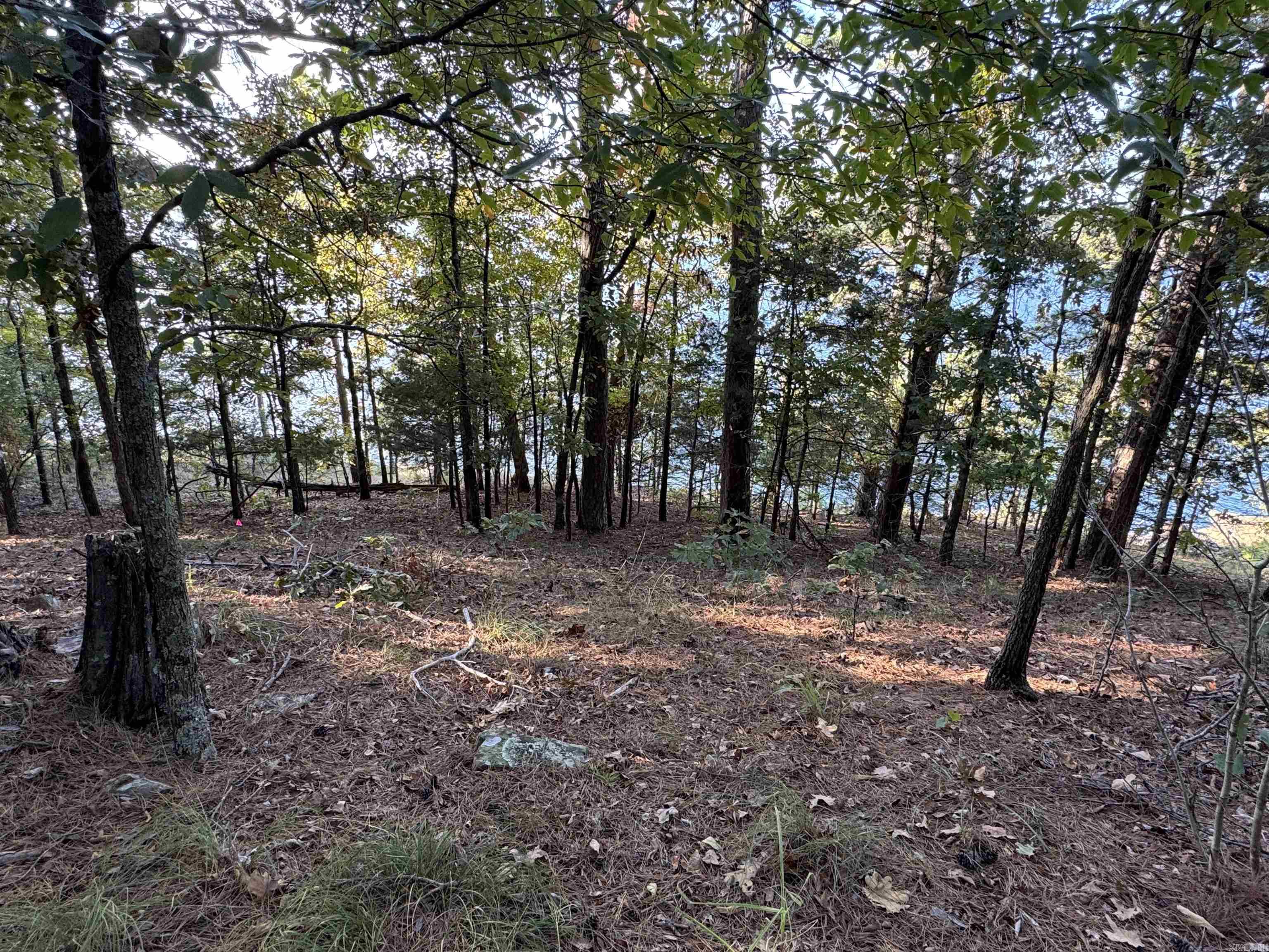 Beautiful Lake Front Lot on Greers Ferry!  Build your dream lake home on this .85 acre wooded lot in Tannenbaum.