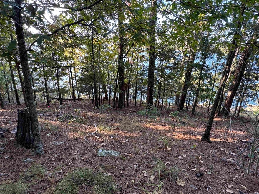 Beautiful Lake Front Lot on Greers Ferry!  Build your dream lake home on this .85 acre wooded lot in Tannenbaum.