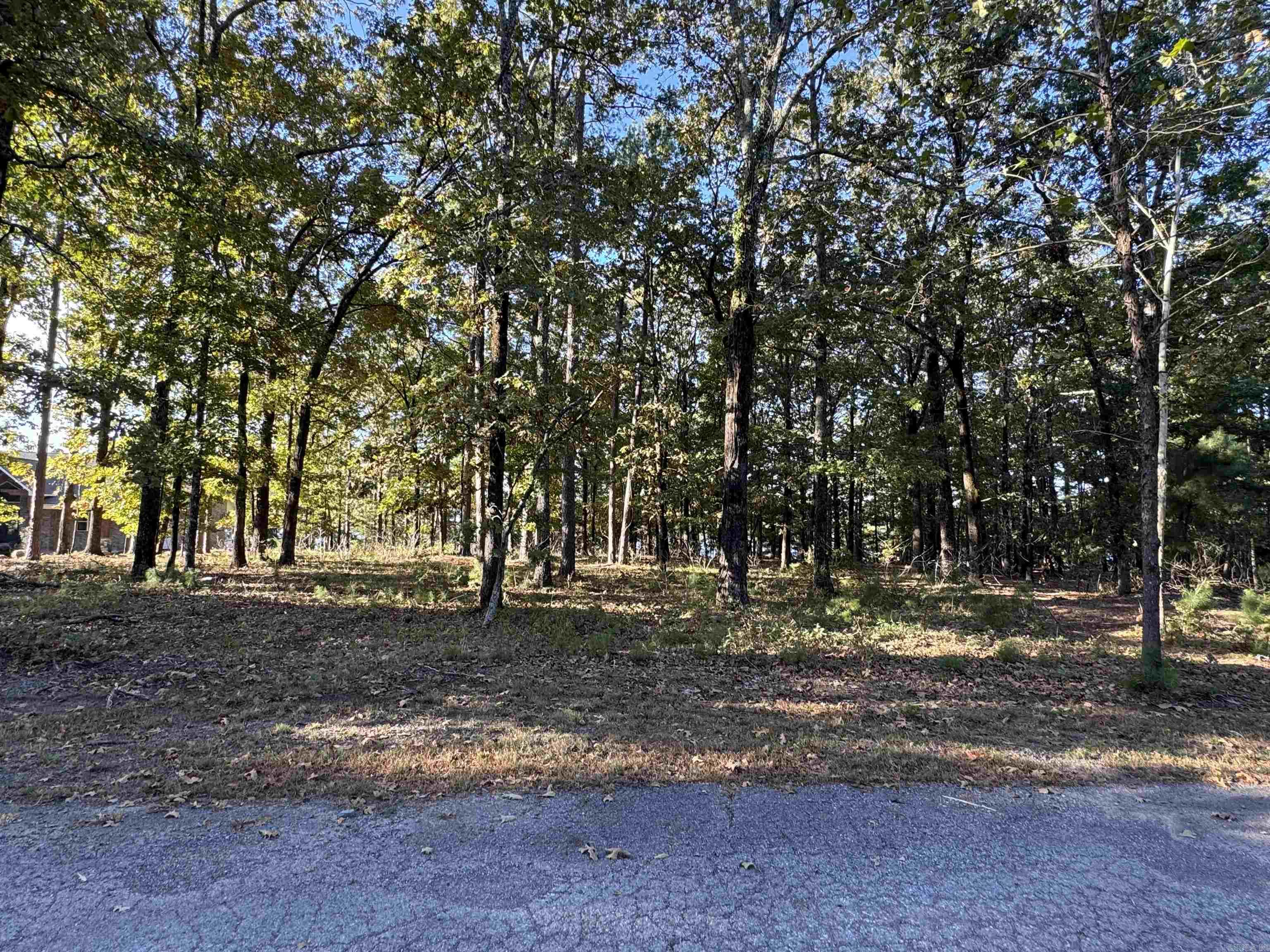 Island Shores - Land