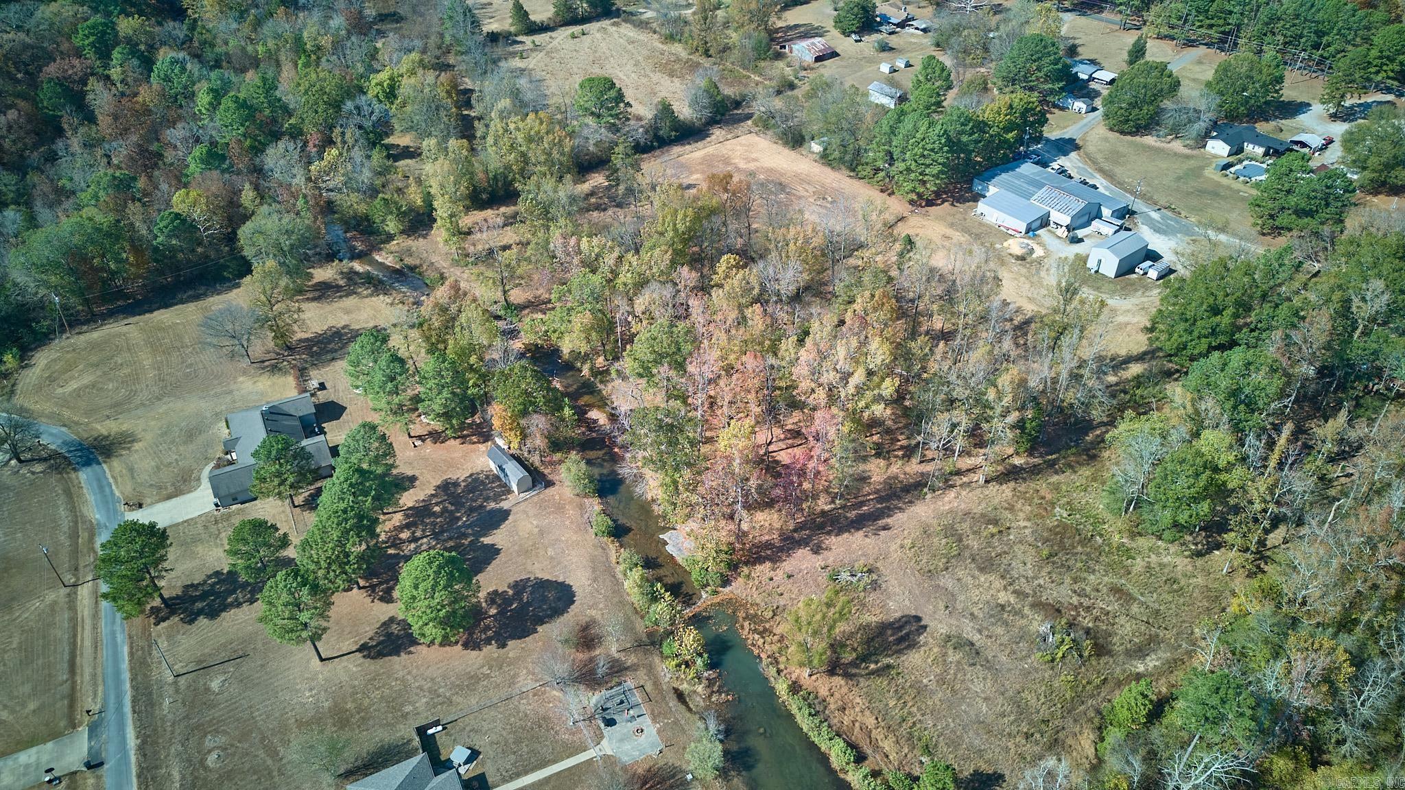 Mountain Pine Outside - Land