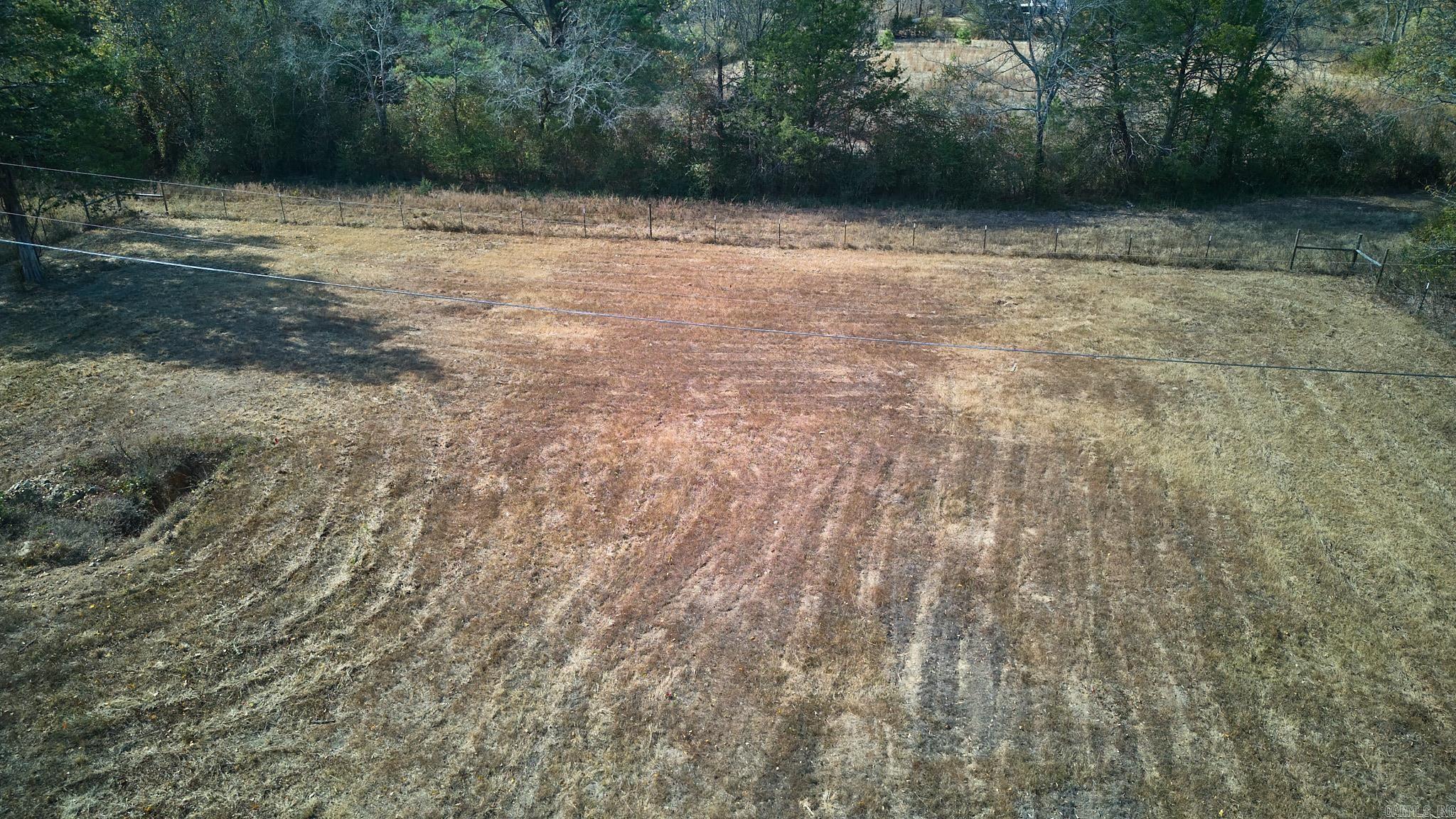 Mountain Pine Outside - Land