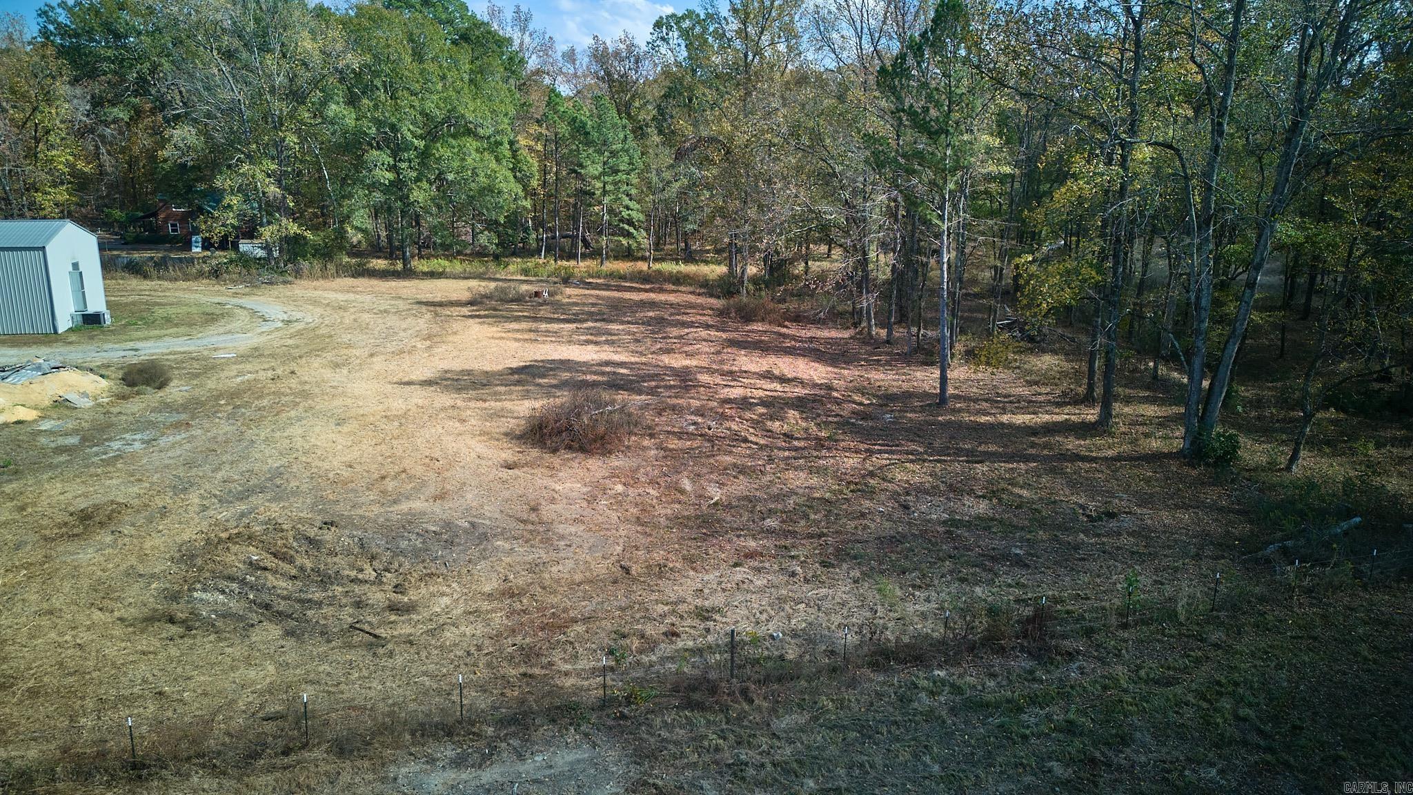 Mountain Pine Outside - Land