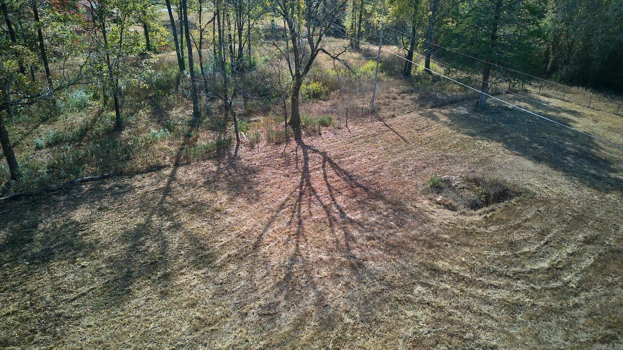 Mountain Pine Outside - Land