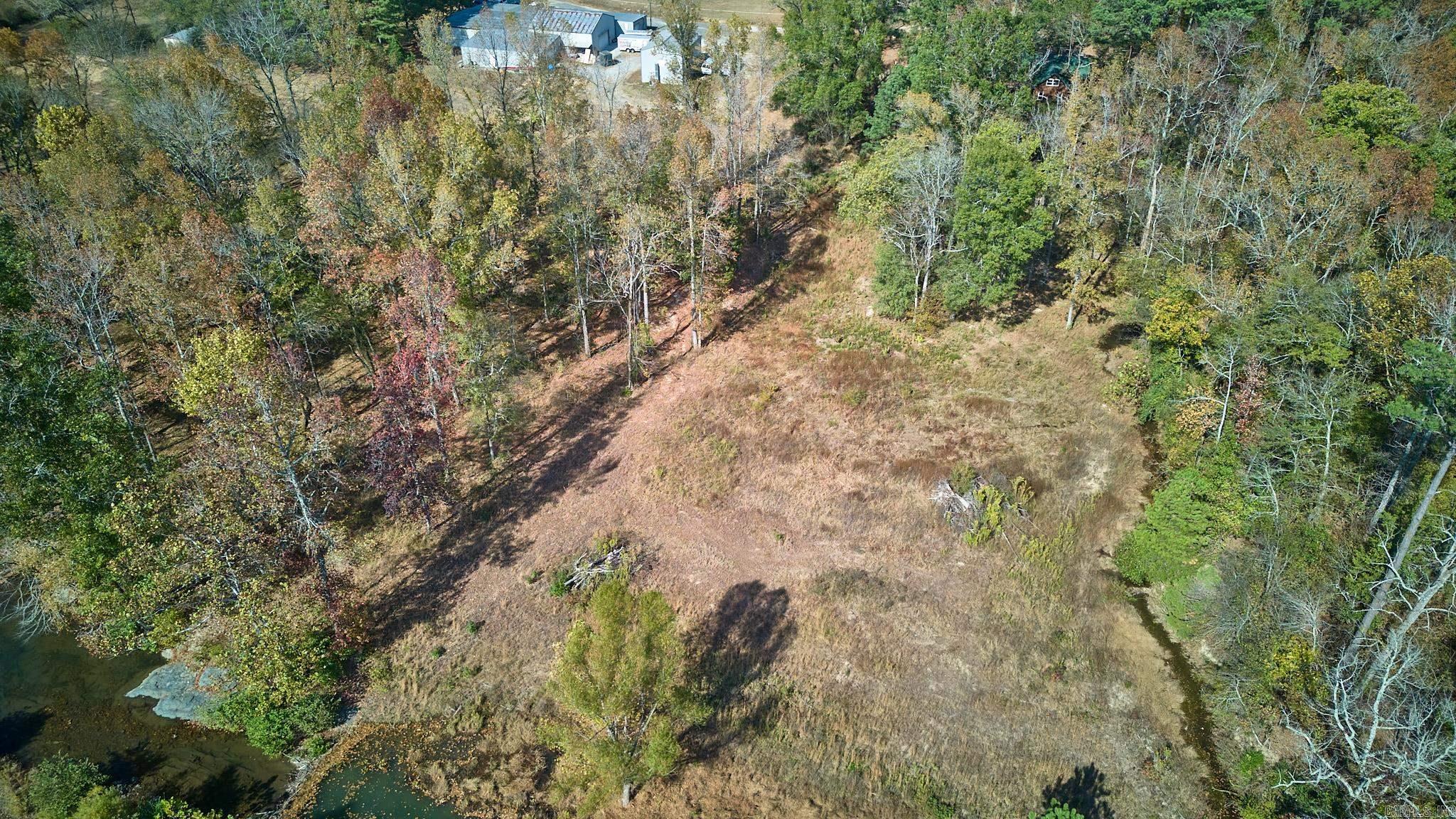 Mountain Pine Outside - Land
