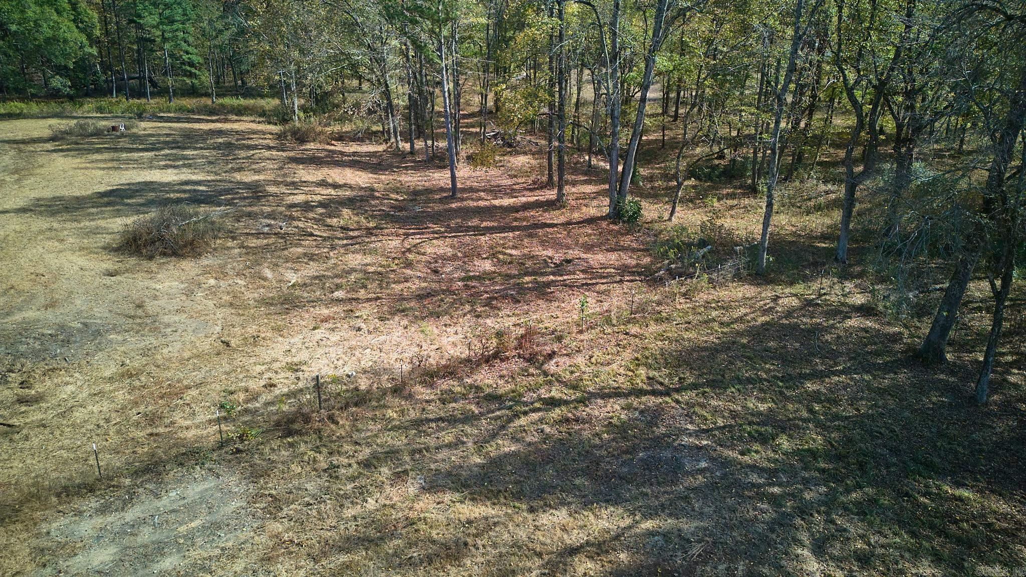 Mountain Pine Outside - Land