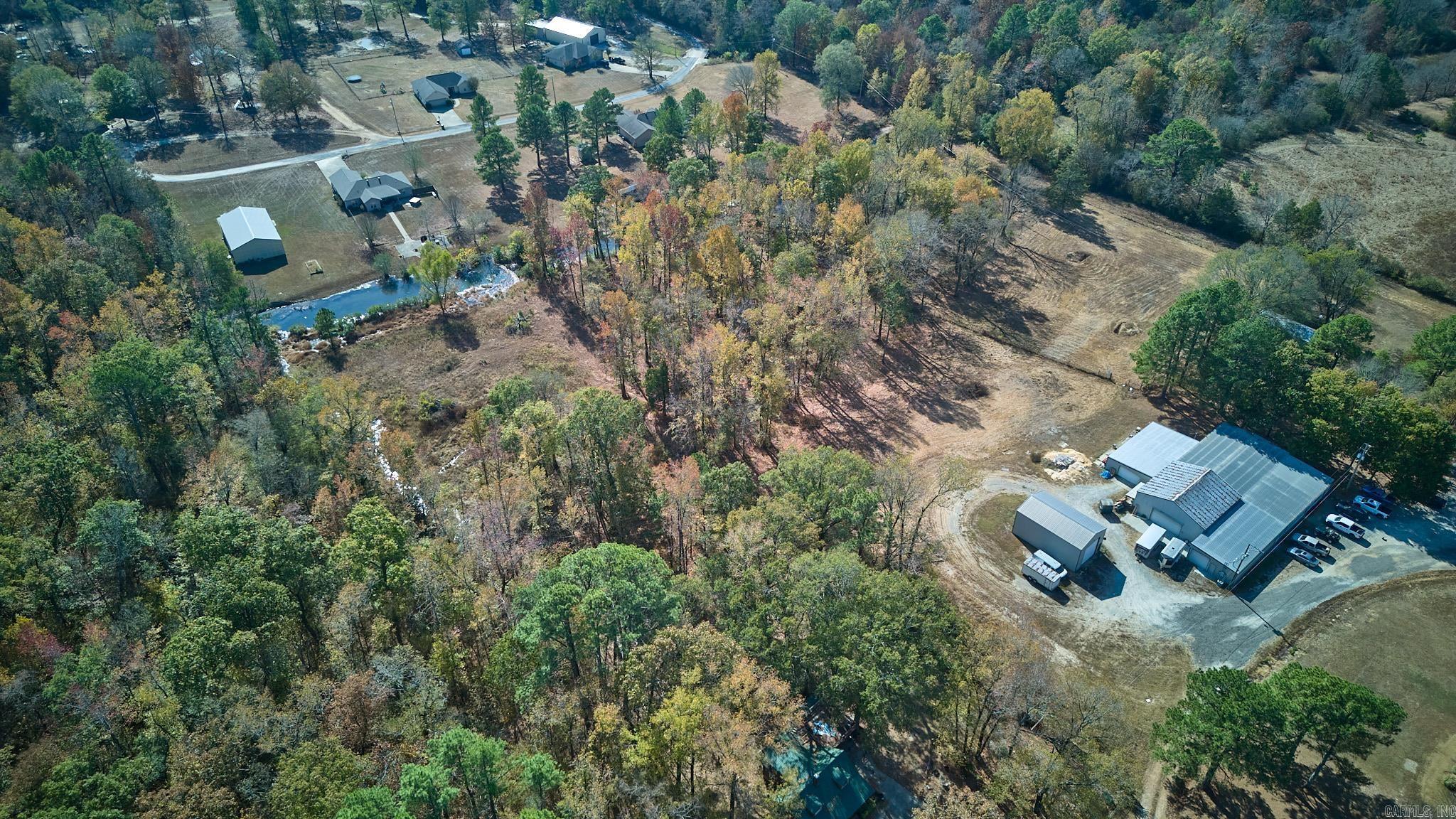 Mountain Pine Outside - Land