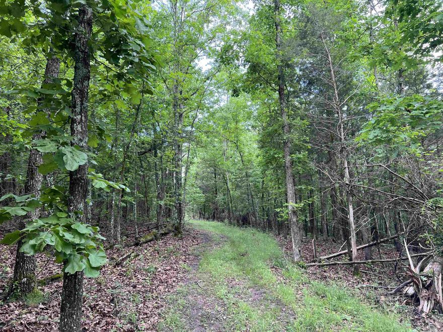 WOW!! Come take a look at this 14.94 acres that has a small creek and also goes to the high bank of Bear Creek. Nice private building site with no restrictions, and utility easements in place.  This is a must see for on grid or off grid living.