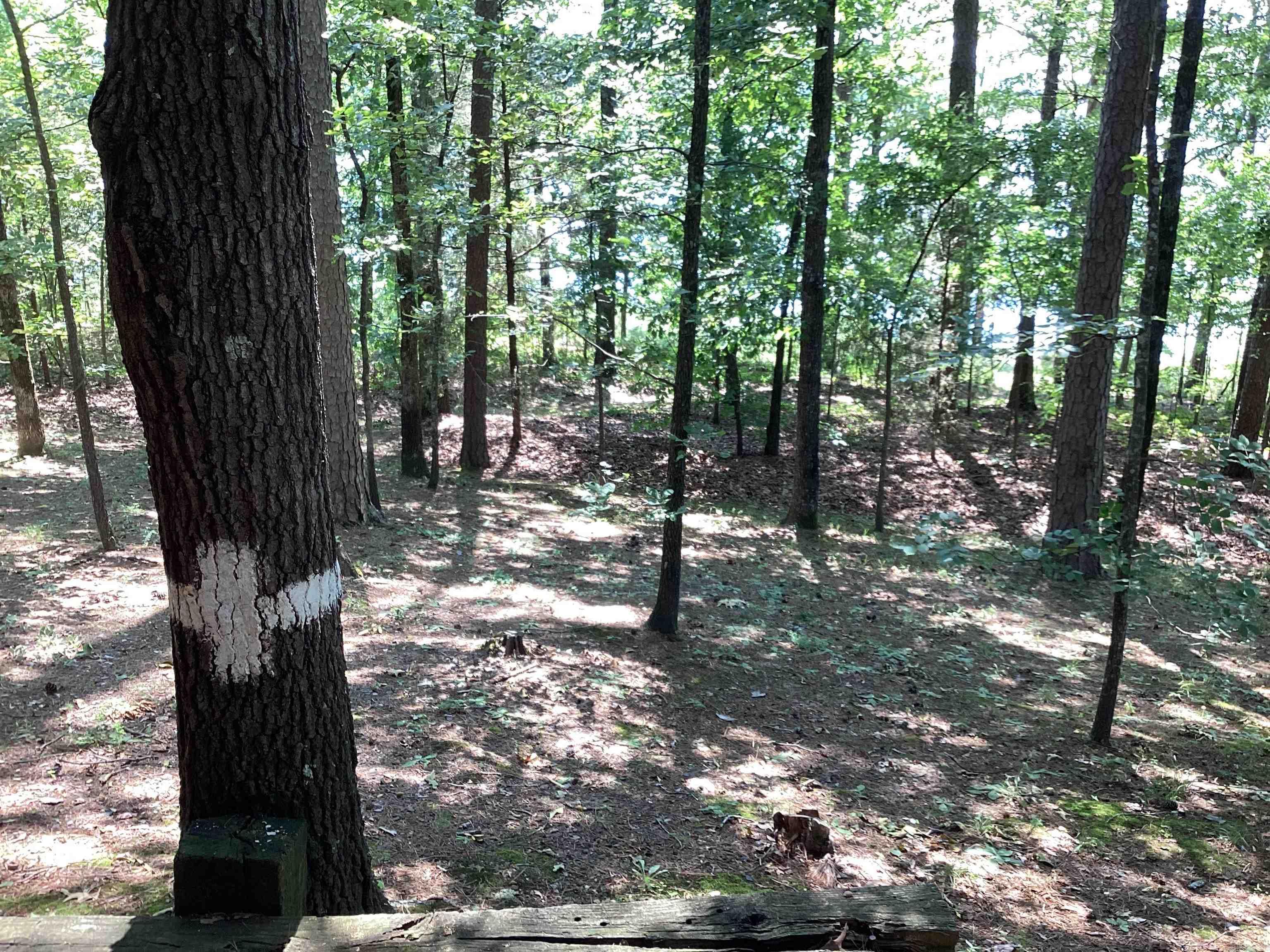 Paradise Point Estates - Residential