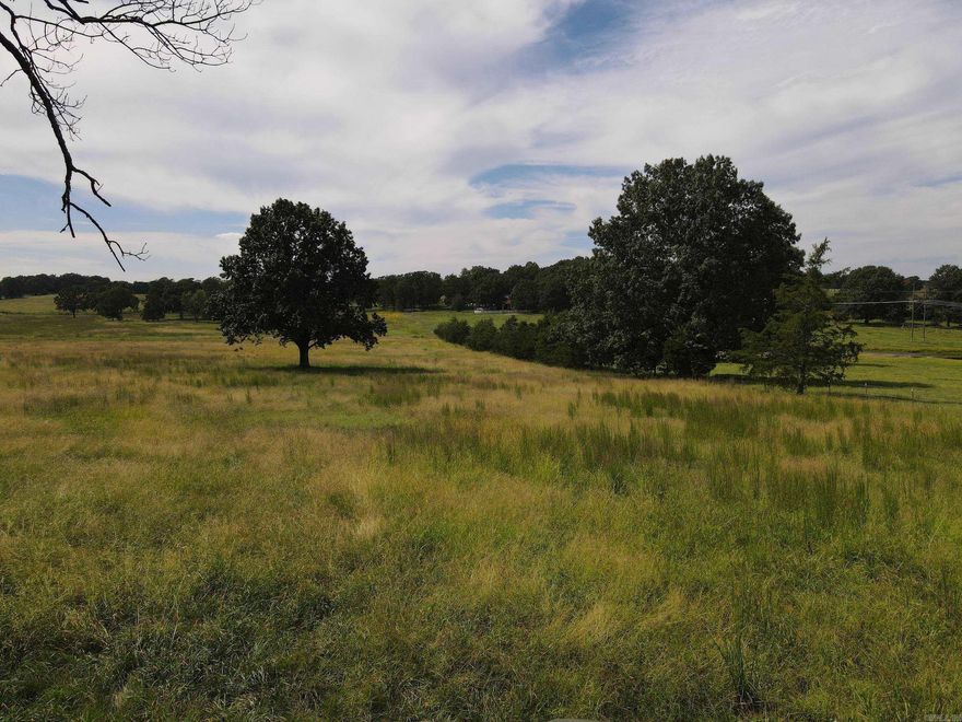 Location, location, location… This is typically the one item that man can't change or alter about a piece of property. This incredible tract is in one of the most desirable areas in all of North Central Arkansas. Located just 5 minutes from Downtown Mountain Home, you can't duplicate this area. Stunning, gentle, and rolling topography with a mix of lush pasture and gorgeous massive oak trees for a true parklike setting. The pasture is a mix of warm and cool-season native grasses, and some is currently cut for hay production. The property fronts Webber Road, a beautiful, paved road that meanders for about a mile to exit right on Hwy 5 and has you to all the amenities you need in just minutes. Close enough for all your needs, yet far enough away where you can truly enjoy the peace and quiet of the country lifestyle. Schools, hospitals, shopping, and more are right at your fingertips. As if this wasn't enough, the tract has electric already on site and would be a truly remarkable building site for your dream home. Just imagine watching the sun setting over the surrounding hills overlooking your breathtaking Ozark haven. There is plenty of space for livestock.