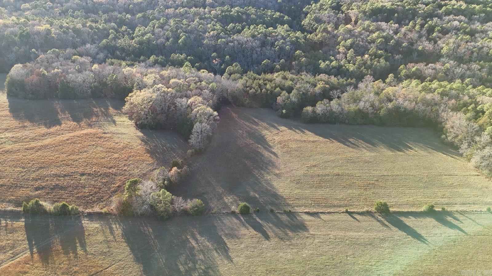 Great pasture with a little woods to enjoy hunting. Wildlife is abundant on this 20 acre parcel with a creek. Mostly fenced. Minerals do not convey.