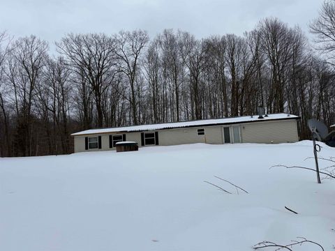 Photo of N9476 SWEETHEART CITY Road, WAUSAUKEE, WI 54177 (MLS # 50321821)