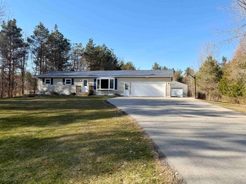 Photo of 6634 LOWER Road, SOBIESKI, WI 54171 (MLS # 50323321)