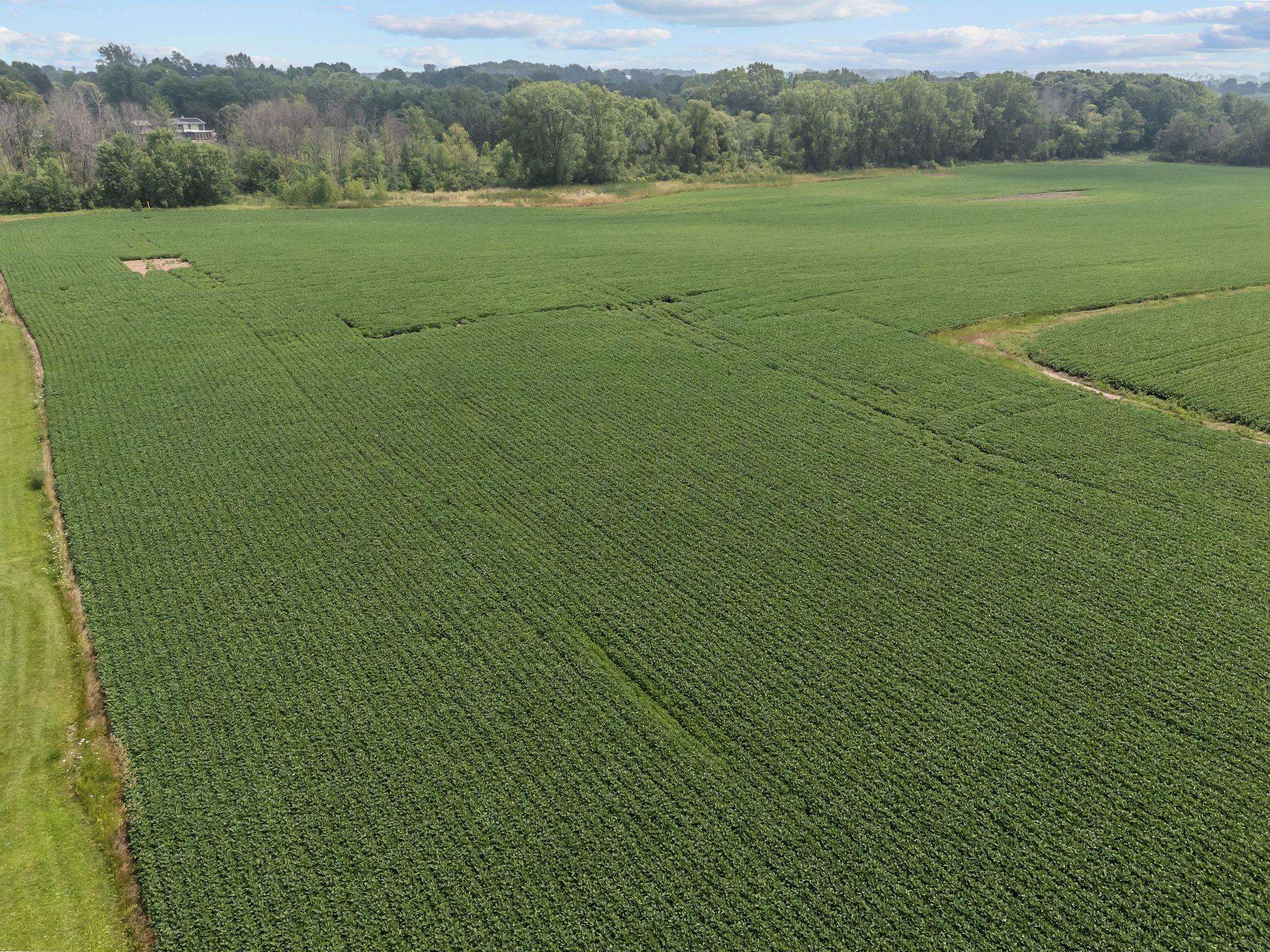 Greenville, Wisconsin 54942, United States, ,Land,Active,177882