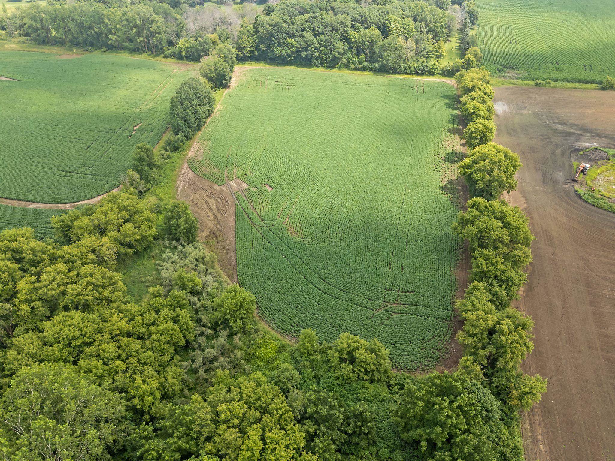 Greenville, Wisconsin 54942, United States, ,Land,Active,177882