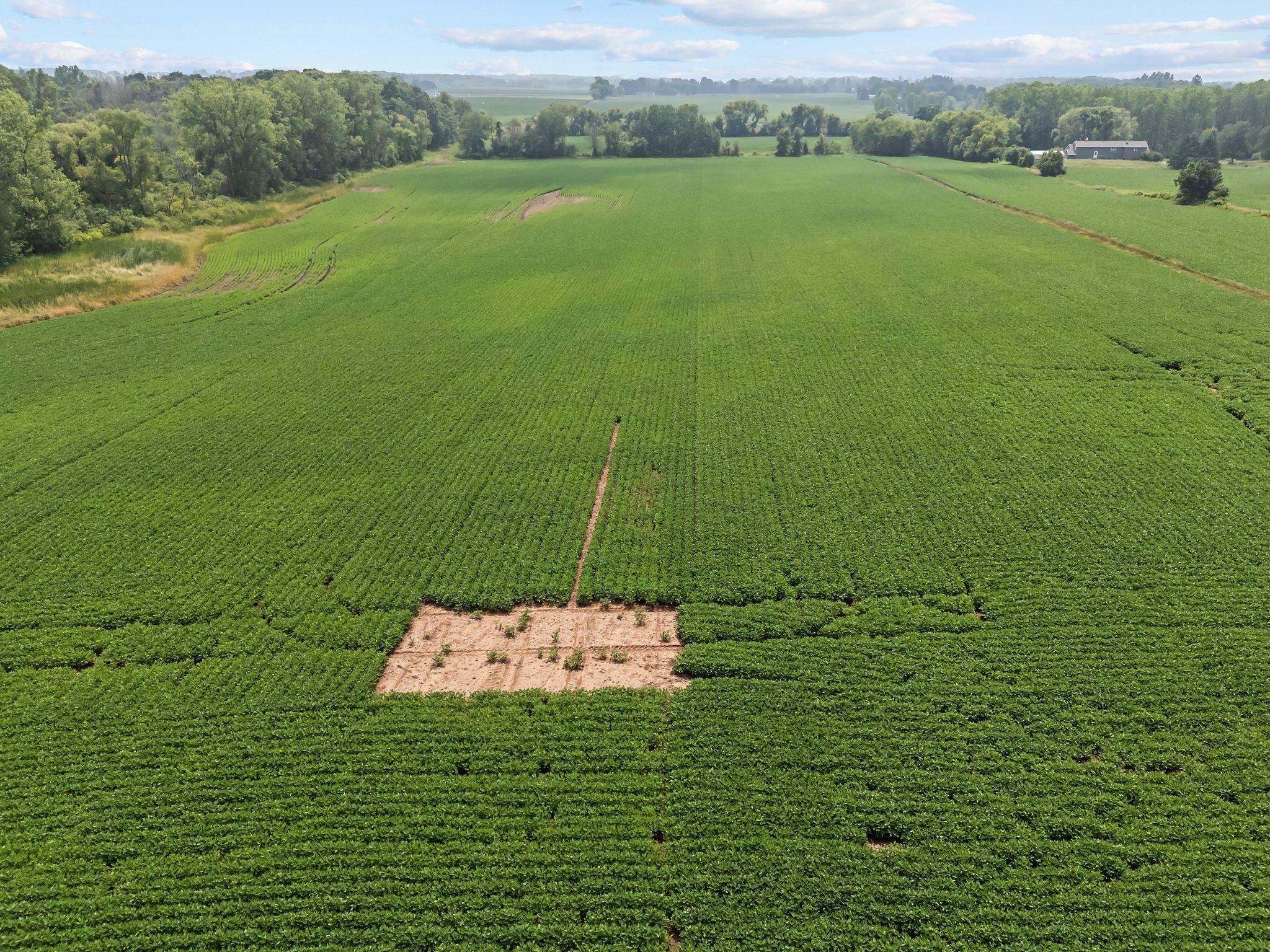 Greenville, Wisconsin 54942, United States, ,Land,Active,177882