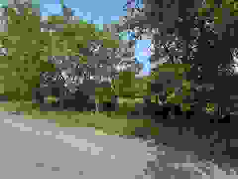 Photo of POLK Avenue, WAUSAUKEE, WI 54177 (MLS # 50330455)