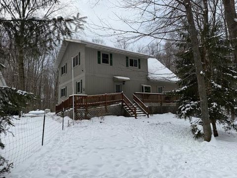 Photo of N4234 DEER Trail, WHITE LAKE, WI 54491 (MLS # 50319167)