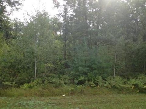 Photo of DEER HAVEN Court, PESHTIGO, WI 54157 (MLS # 50321760)