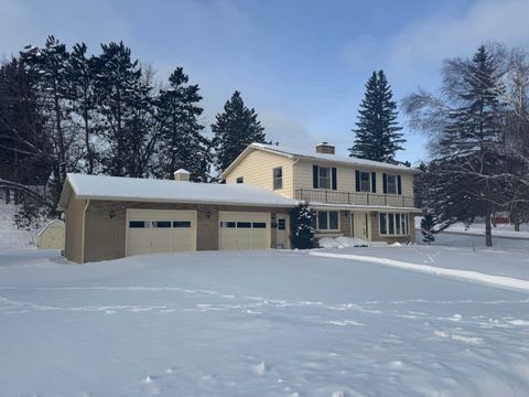 Photo of 825 MICHAEL Street, KINGSFORD, MI 49802 (MLS # 50319582)