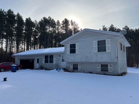 Photo of 11065 EAST Lane, WAUPACA, WI 54981 (MLS # 50319449)